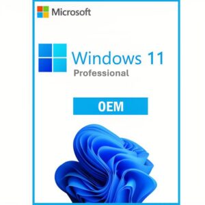 Windows 11 Pro OEM Digital